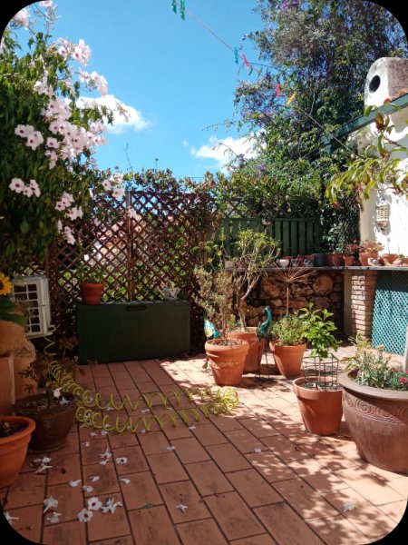 Courtyard2 18 May 24.jpg