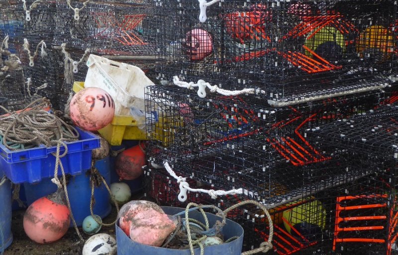 crab traps.jpg