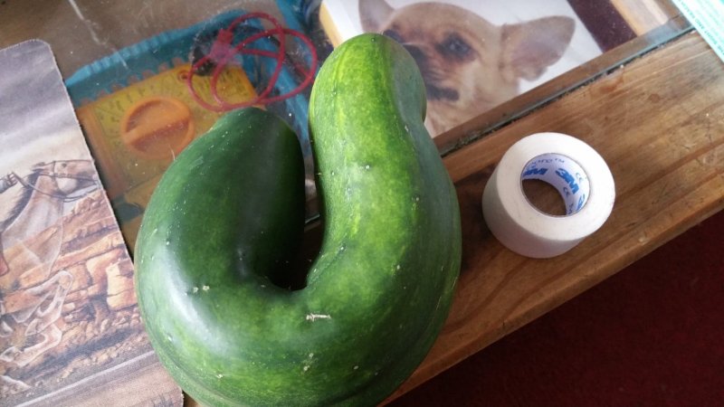 cue 18th july 18.jpg