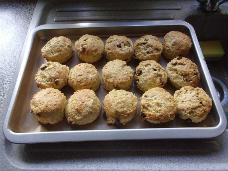 Currant scones._624.JPG