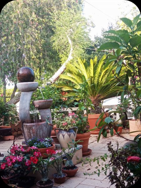 Cy Sunset 9 May 24.jpg