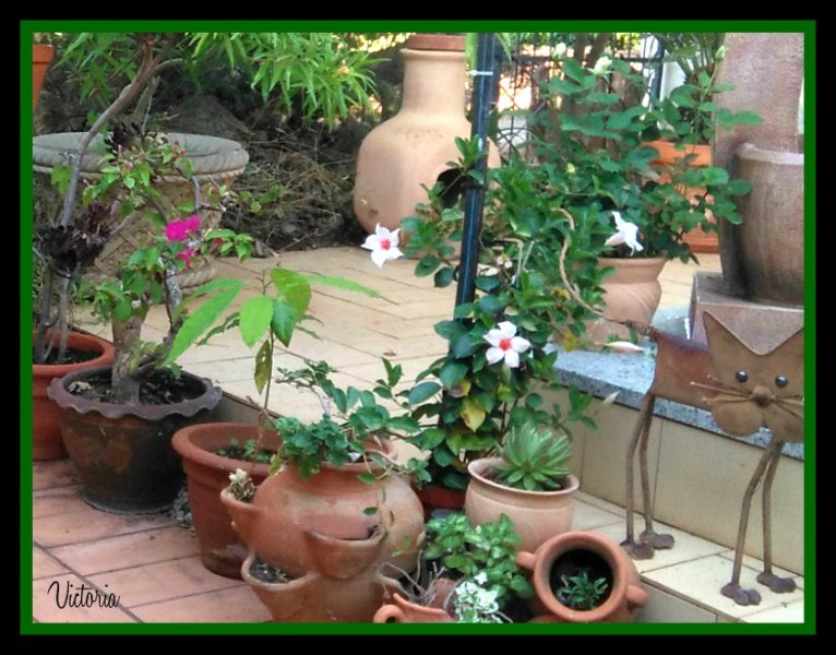 Dance Floor2 7 Oct 19.jpg