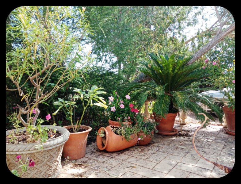 Dancefloor Cy 16 Jul 22.jpg