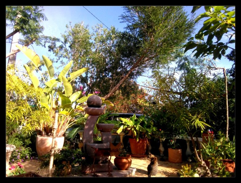 Dancefloor Munch 16 Nov 20.jpg