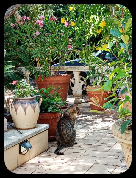 Dancefloor with Munchlin.jpg