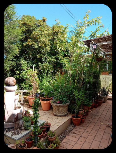 Dancefloor1 20 Jun 22.jpg