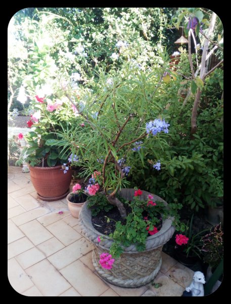 Dancefloor1 6 Aug.jpg