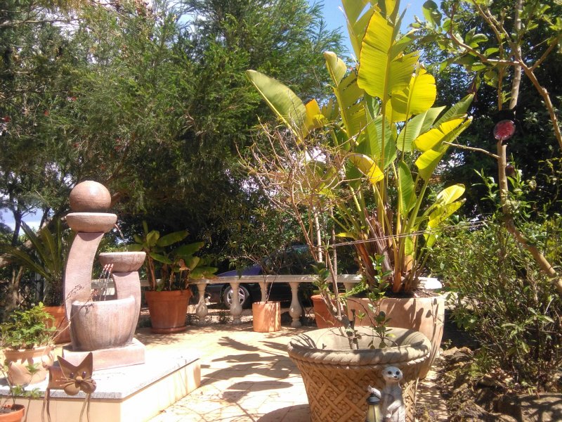 Dancefloor2Apr 20.jpg