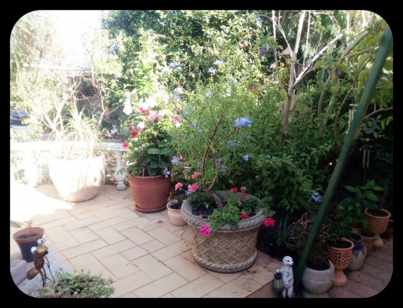 Dancefloor3 7 Aug.jpg