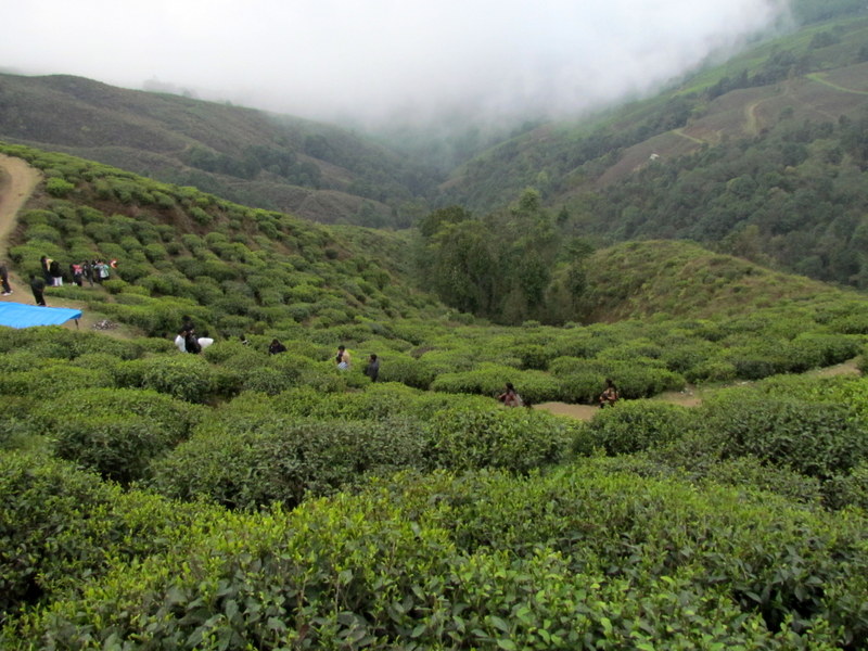 DARJEELING 01-04-2011 16-21-43.JPG