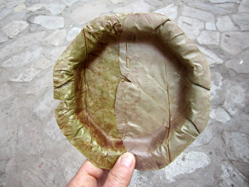DARJEELING  TO  KALUK  TEAK  LEAF  PLATE 02-04-2011 11-29-23.JPG