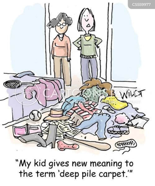 Deep pile carpet.jpg