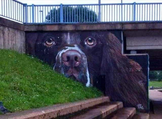 dog painting.jpg