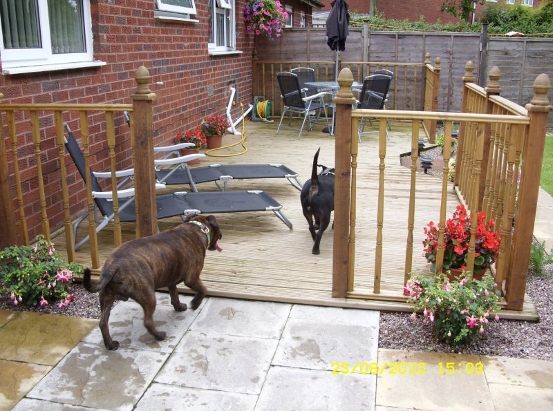 Dow leave me shaddow 3 (2).JPG