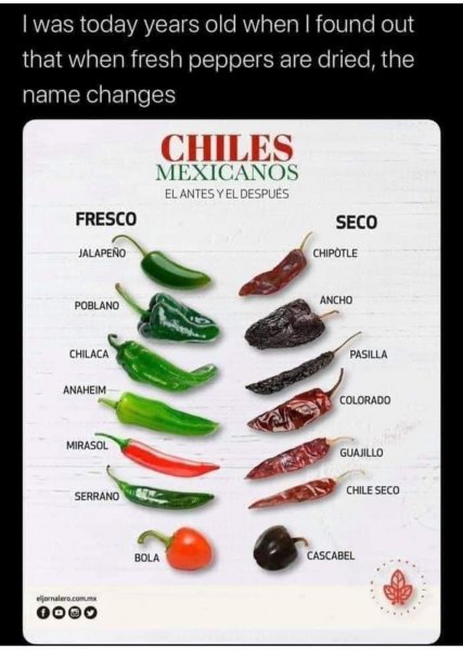 Dried chiles..jpg