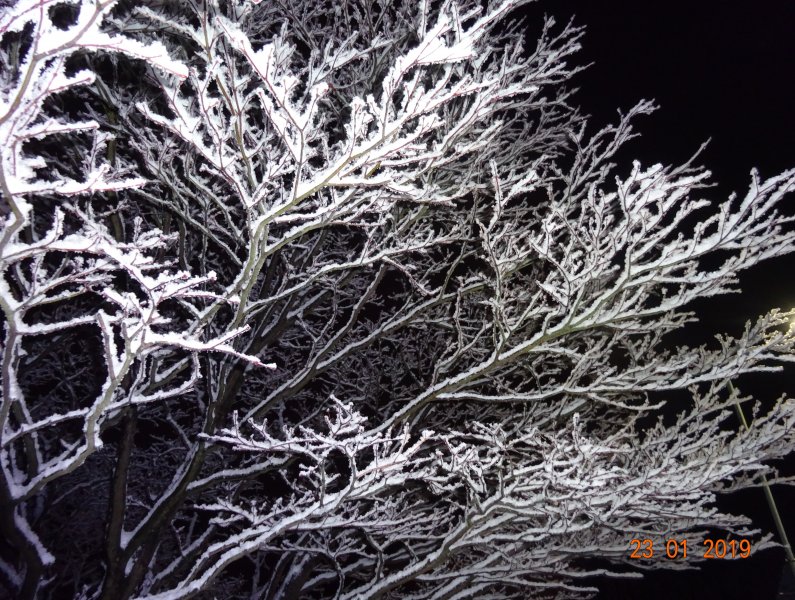 DSC00006 (4) - Copy.JPG