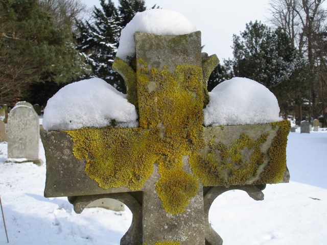 DSC00014 (1) - Copy.JPG