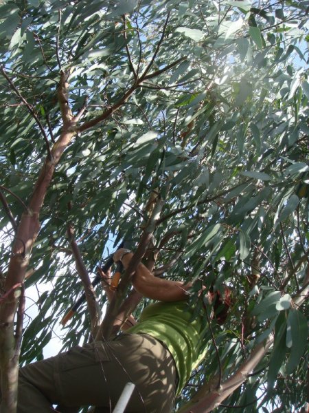 DSC02264 (600x800).jpg