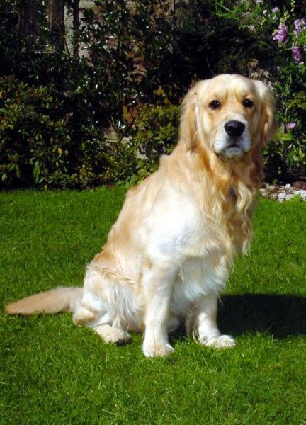 DSC02816 cropped 2.jpg