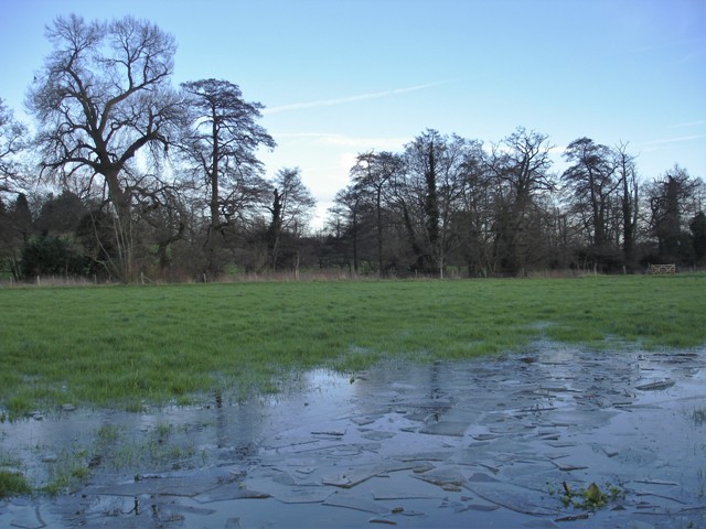 DSC08085 (2) - Copy.JPG