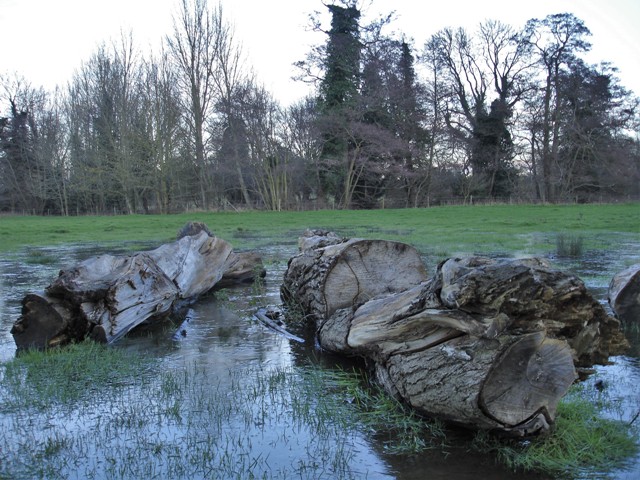 DSC08093 (2) - Copy.JPG