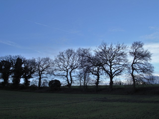 DSC08095 (2) - Copy.JPG