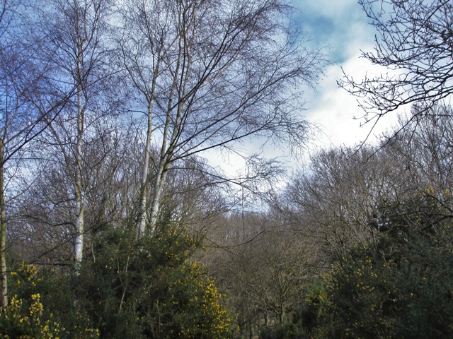 DSC08202 (2) - Copy.JPG