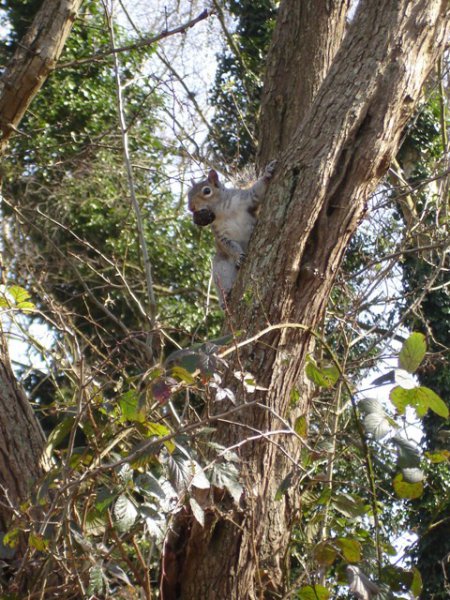 DSC08275 (2) - Copy.JPG