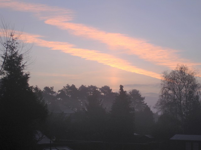 DSC08348 (2) - Copy.JPG