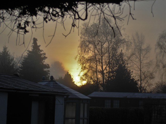 DSC08349 (2) - Copy.JPG