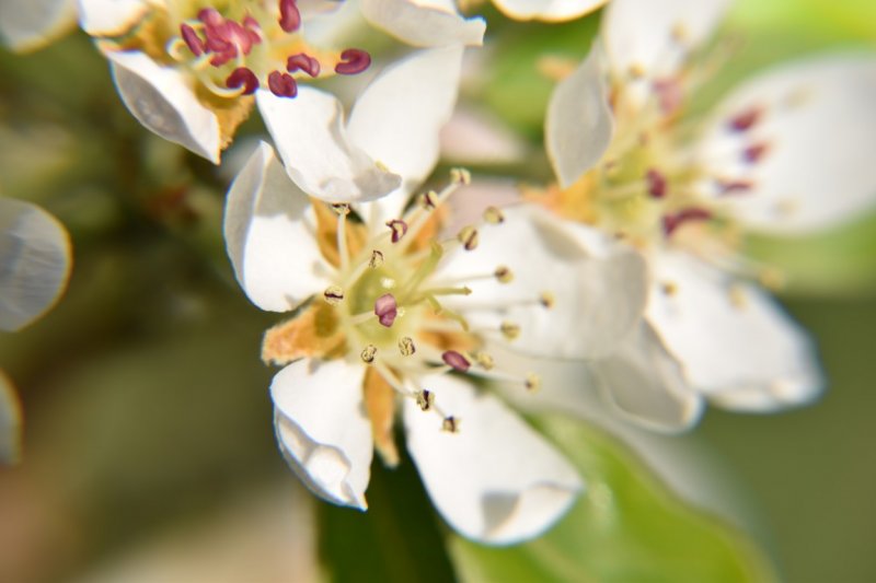 DSC_0017 (Medium).JPG