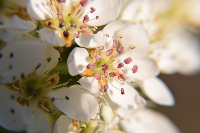 DSC_0018 (Medium).JPG