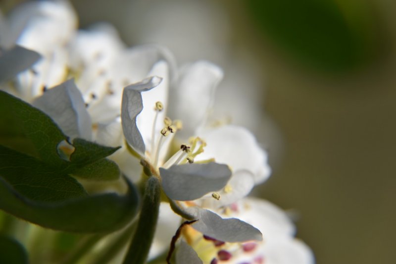 DSC_0019 (Medium).JPG