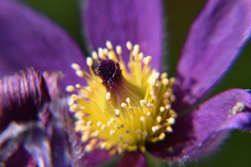 DSC_0020 (Medium).JPG