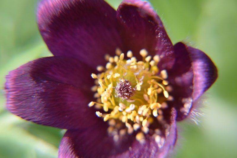 DSC_0021 (Medium).JPG