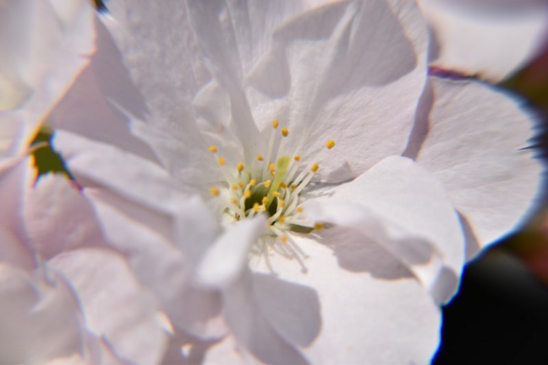 DSC_0022 (Medium).JPG