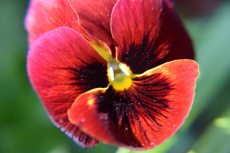 DSC_0023 (Medium).JPG