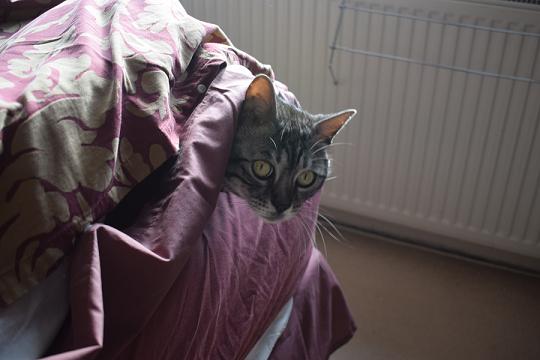 DSC_0028 (4)_small.jpg