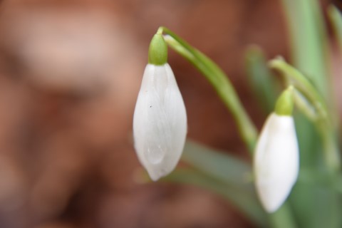 DSC_0083 (Mobile).JPG