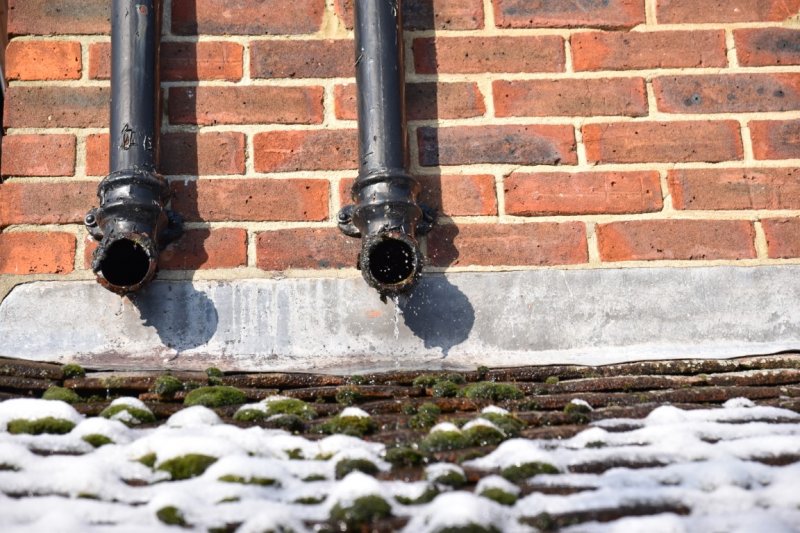 DSC_0153 (2) (Medium).jpeg