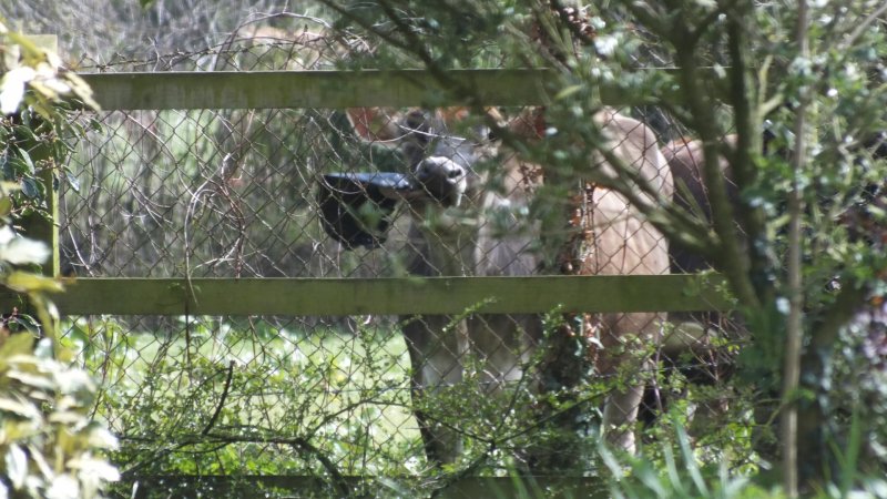 DSCF2842 (2022_04_09 12_55_51 UTC).JPG