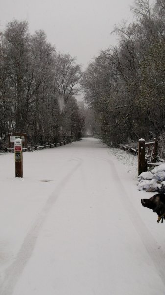 DSCF6050 (576x1024).jpg