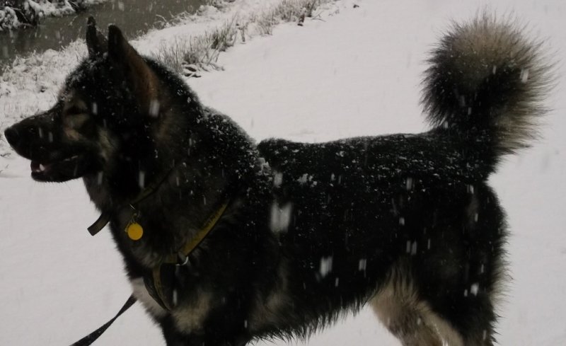 DSCF6061 (1024x627).jpg