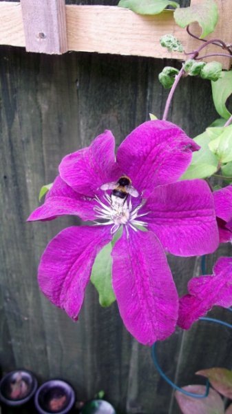 DSCF6369 (360x640).jpg