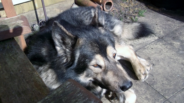 DSCF6918 (640x360).jpg