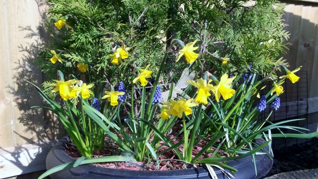 DSCF6921 (640x360).jpg