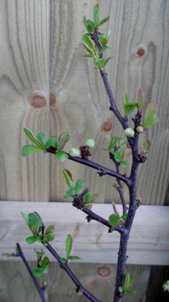 DSCF6935 (360x640).jpg