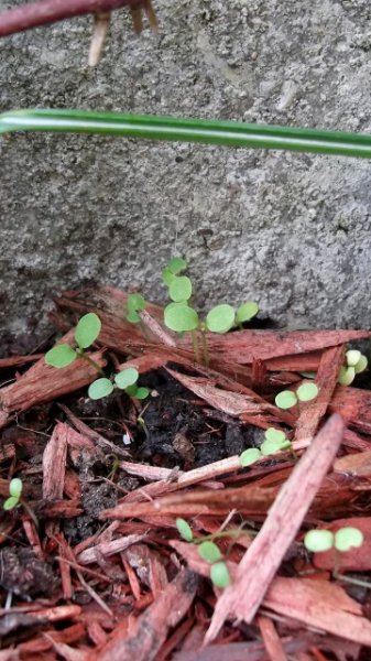 DSCF6944 (360x640).jpg