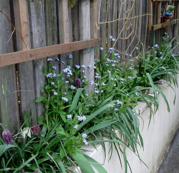 DSCF7272 (1024x985).jpg