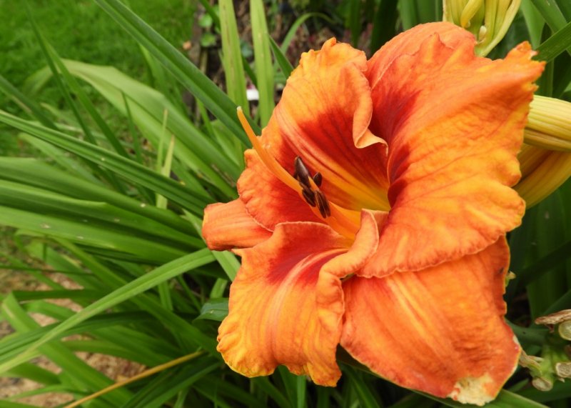 DSCN0021 (1024x732).jpg